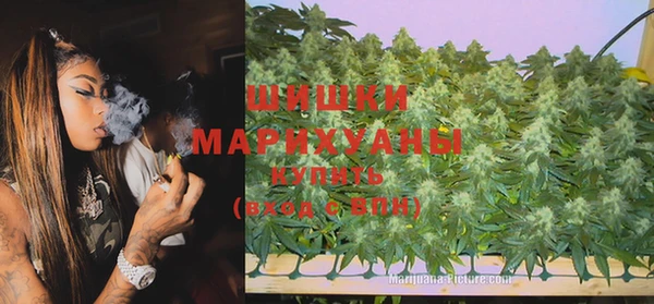 спиды Алзамай
