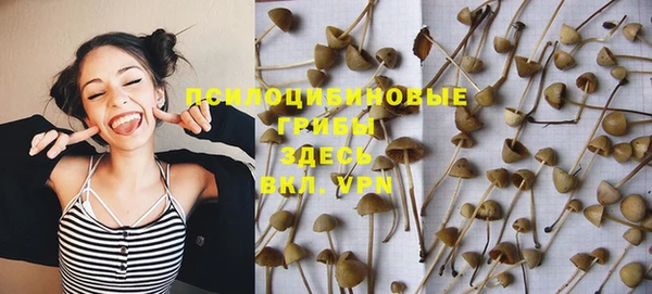 a pvp Алексеевка