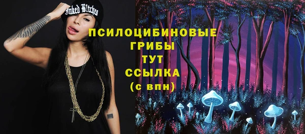 спиды Алзамай