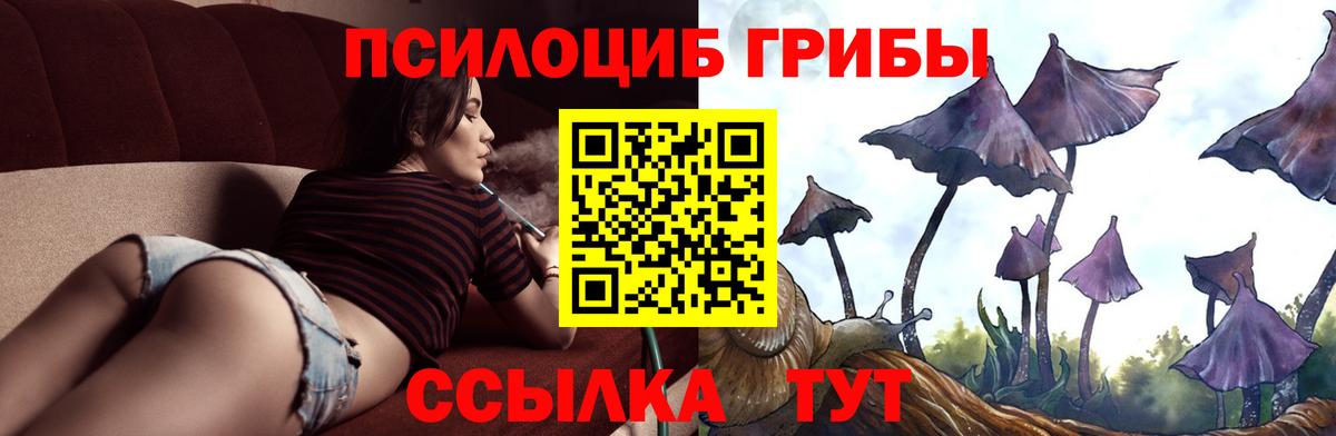 Галлюциногенные грибы прущие грибы  Вход с VPN  Северодвинск 